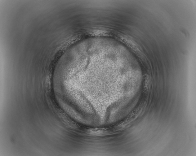 X0000112950461200909211158