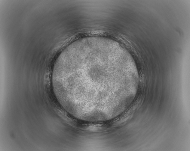 X0000112950462200909211158