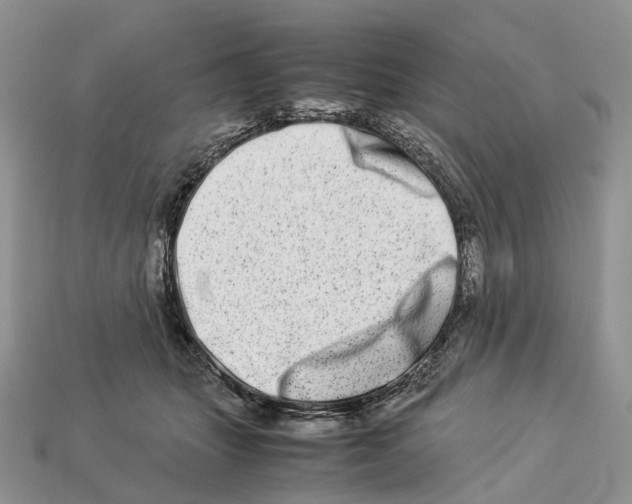 X0000112950463200909211158