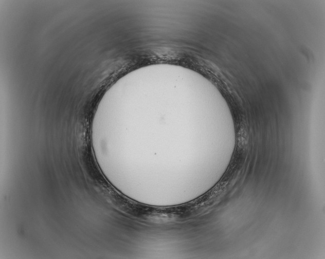 X0000112950464200909211158