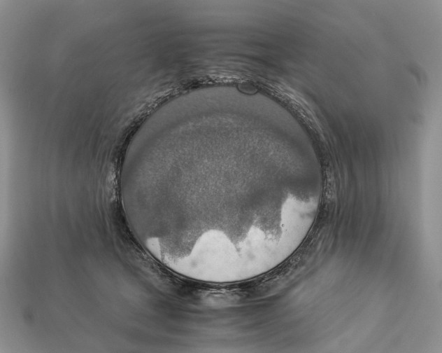 X0000112950465200909211158
