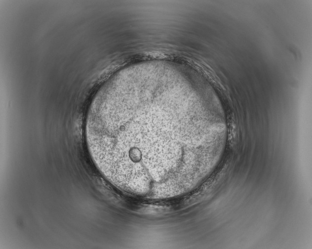 X0000112950466200909211158