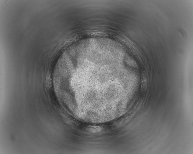 X0000112950469200909211158