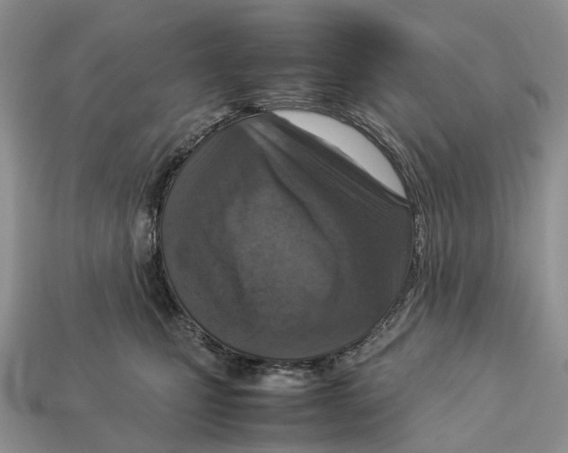 X0000112950471200909211158