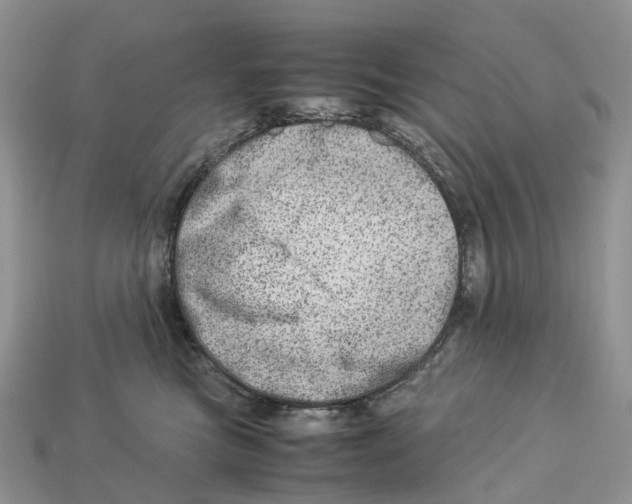 X0000112950473200909211158