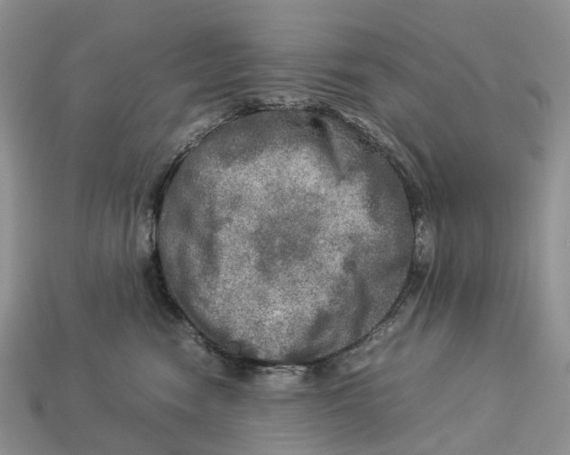 X0000112950474200909211158