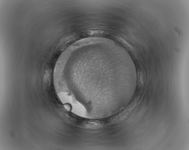 X0000112950475200909211158