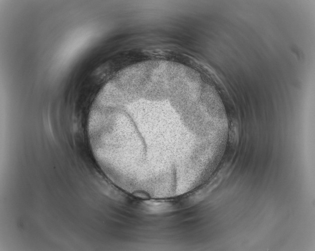 X0000112950477200909211158