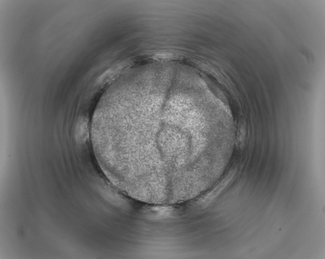 X0000112950478200909211158