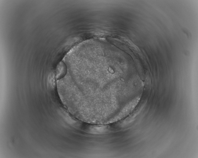 X0000112950479200909211158