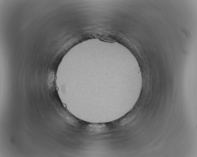 X0000112950480200909211158