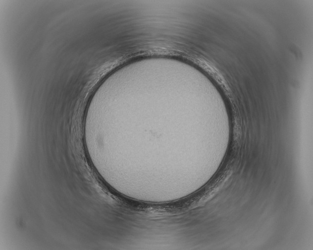 X0000112950481200909211157
