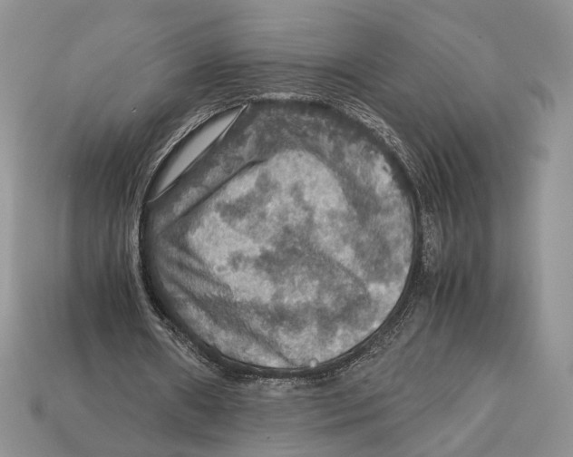 X0000112950482200909211157