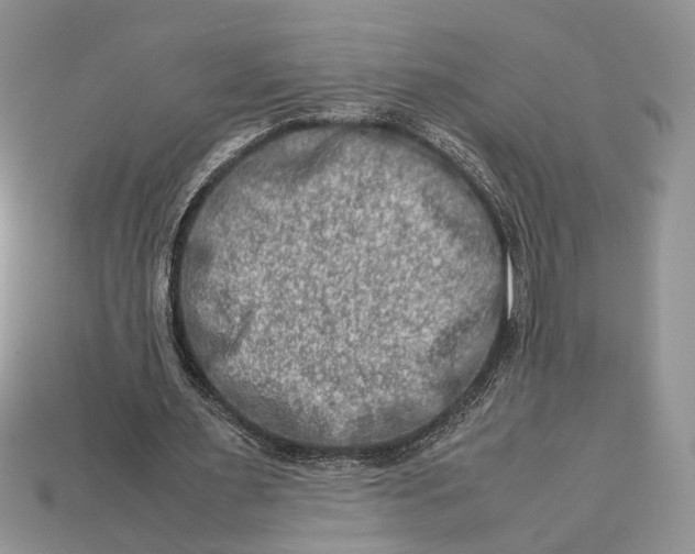 X0000112950483200909211157