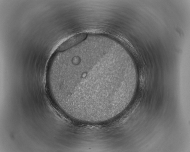 X0000112950484200909211157