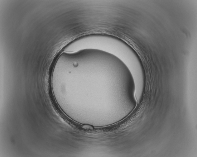 X0000112950485200909211157