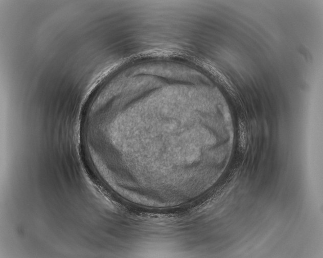 X0000112950486200909211157