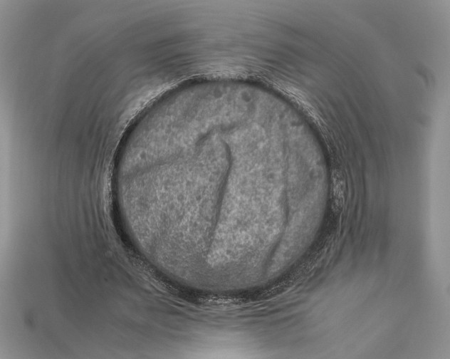 X0000112950487200909211157
