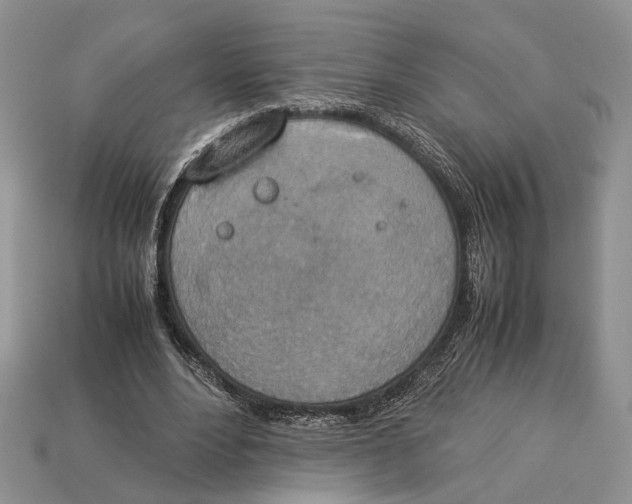 X0000112950488200909211157