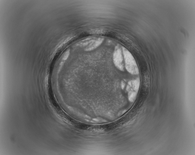 X0000112950491200909211157