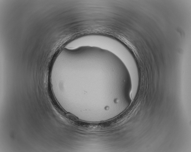 X0000112950493200909211157