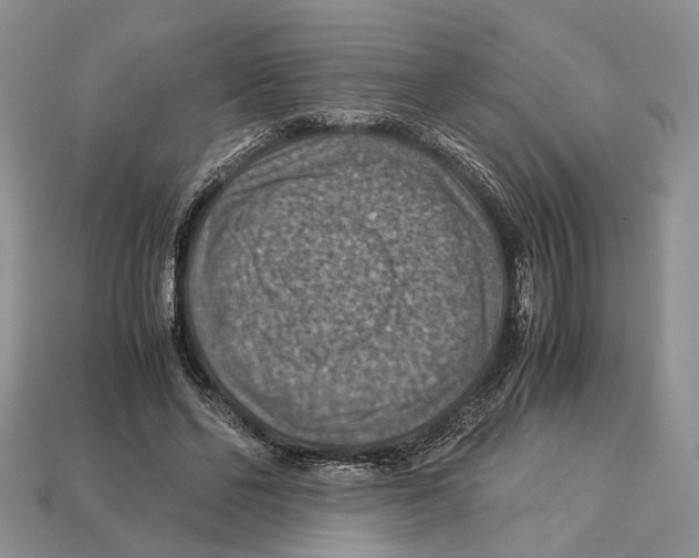 X0000112950494200909211157