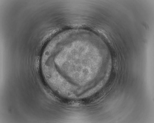 X0000112950495200909211157
