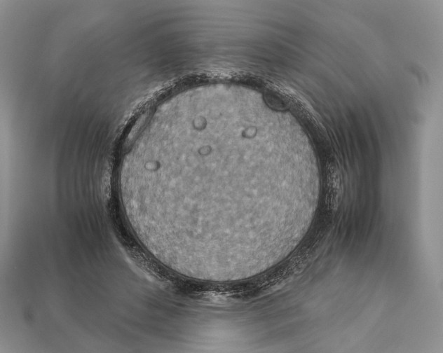 X0000112950496200909211157