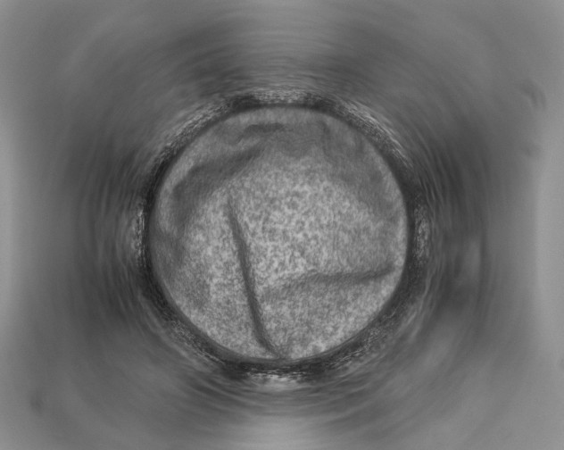 X0000112950498200909211157