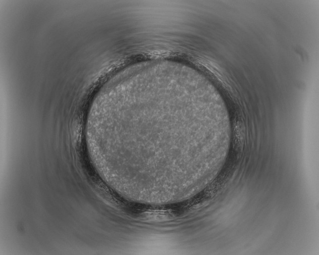 X0000112950499200909211157