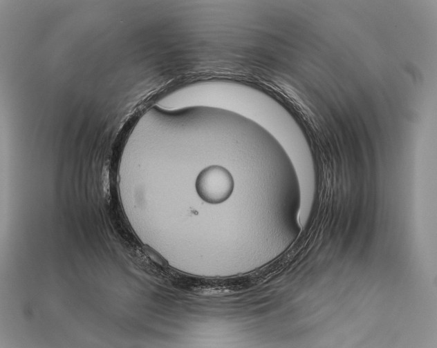 X0000112950500200909211157