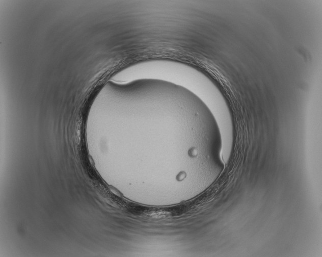 X0000112950501200909211157