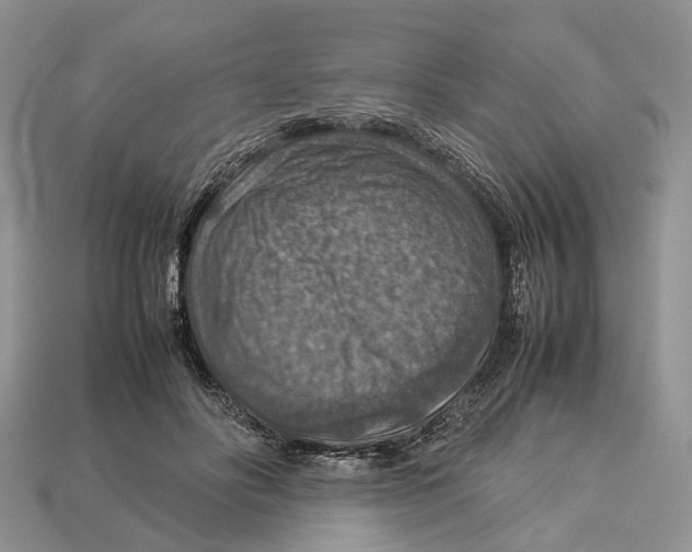 X0000112950502200909211157
