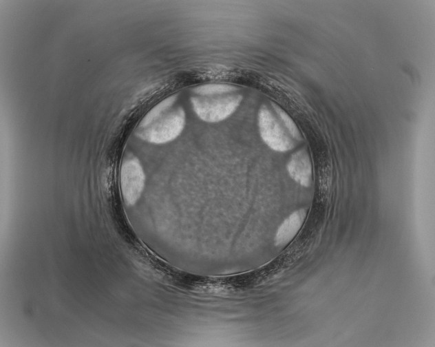 X0000112950503200909211157
