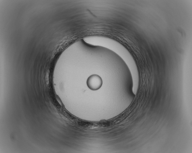 X0000112950504200909211157