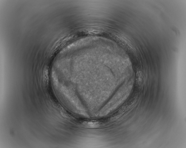 X0000112950506200909211157