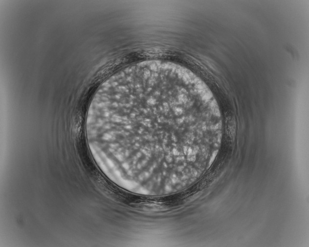 X0000112950507200909211157