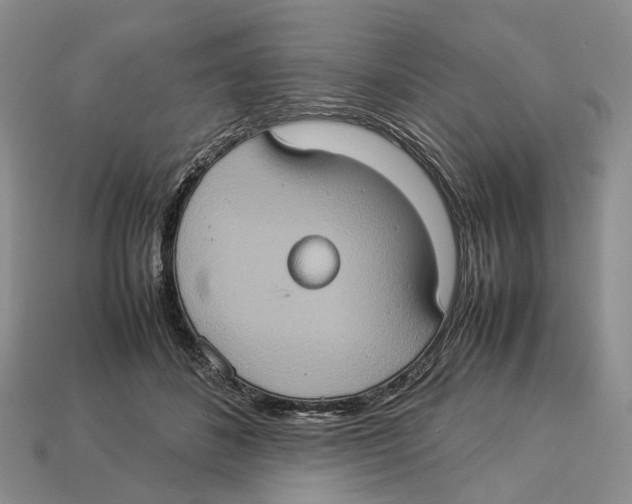 X0000112950508200909211157