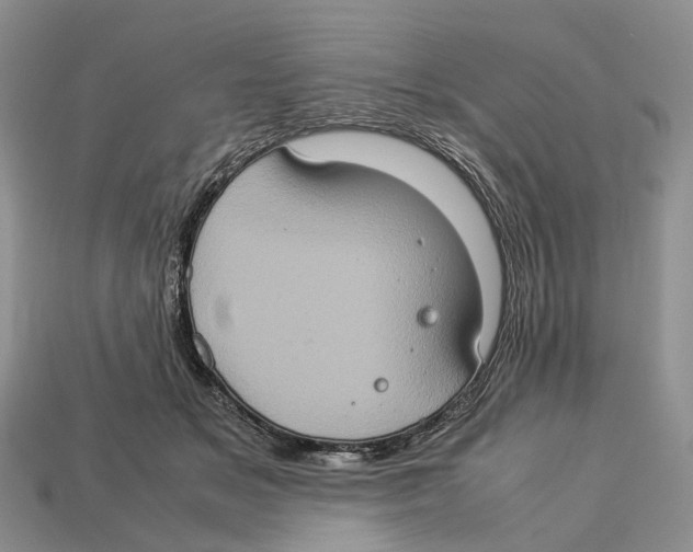 X0000112950509200909211157
