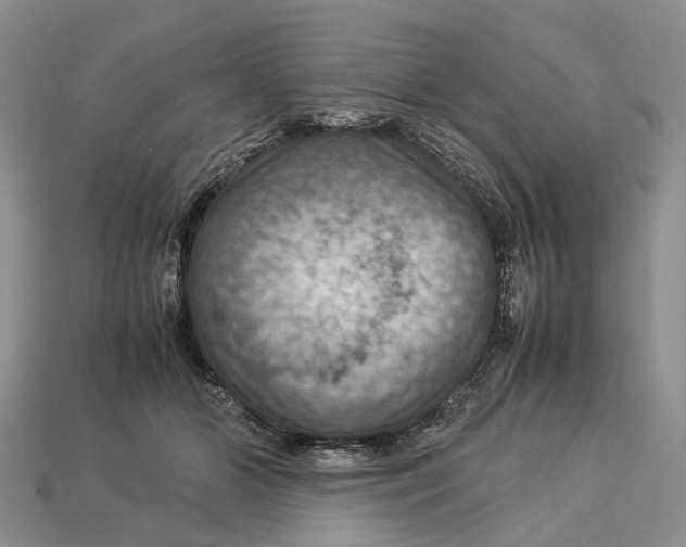X0000112950510200909211157