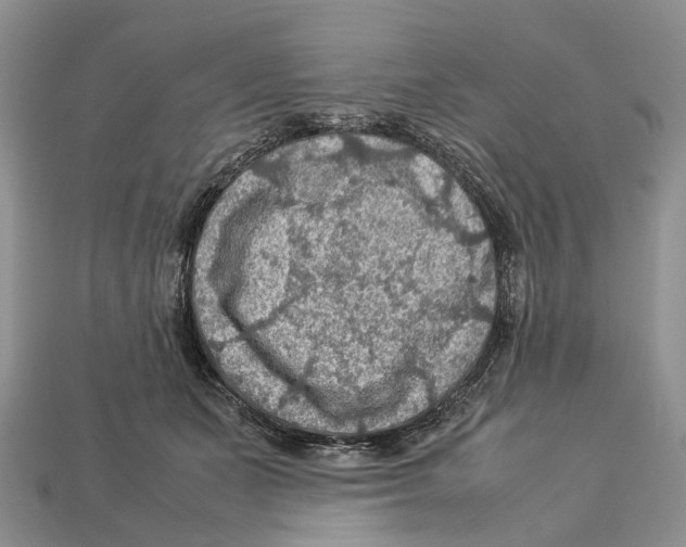 X0000112950511200909211157
