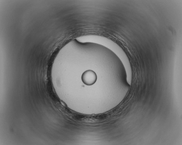 X0000112950512200909211157