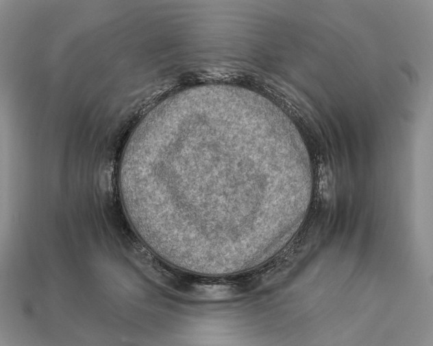X0000112950514200909211157