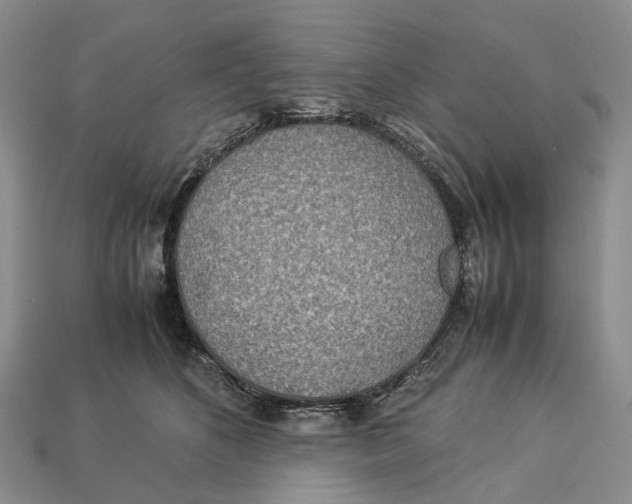 X0000112950516200909211157