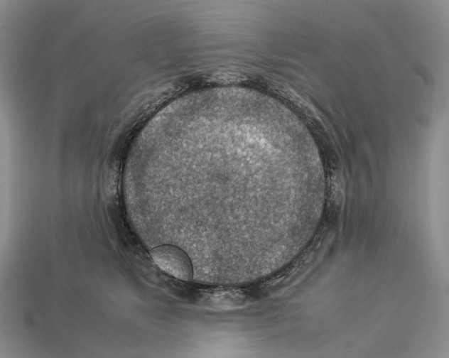 X0000112950517200909211157