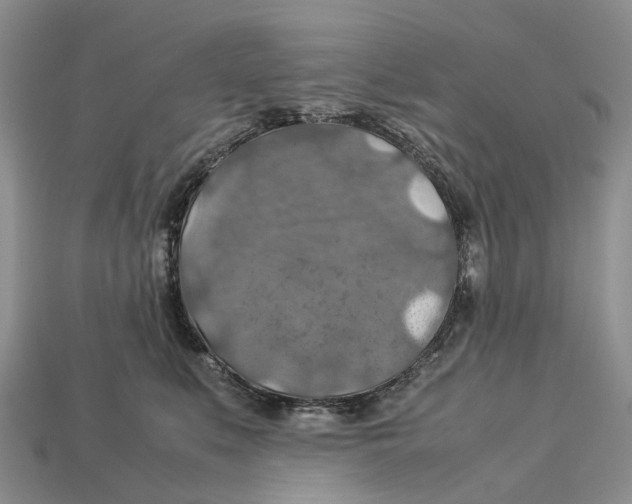 X0000112950519200909211157