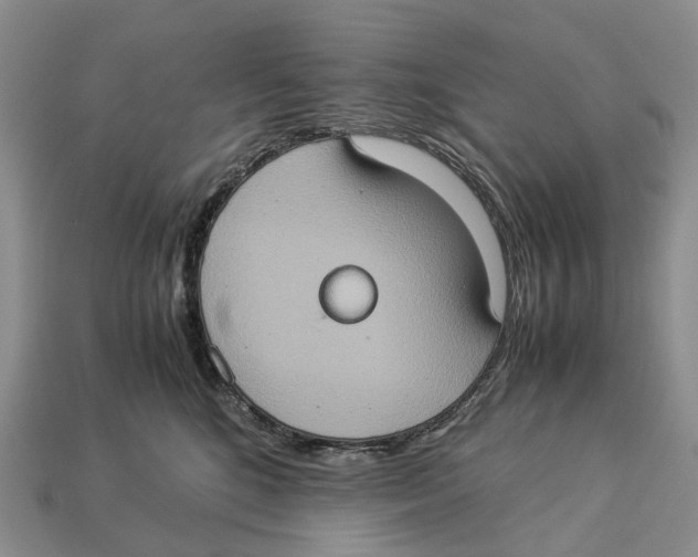 X0000112950520200909211157