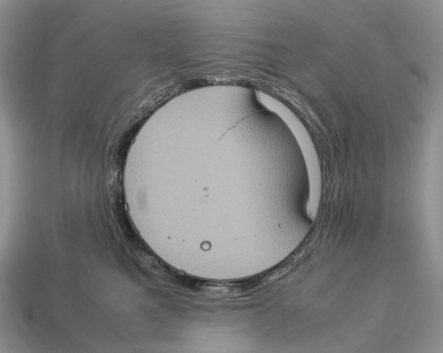 X0000112950521200909211157
