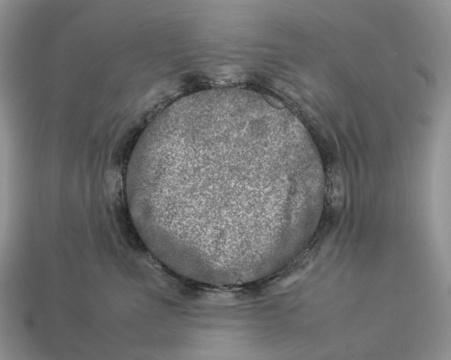 X0000112950523200909211157