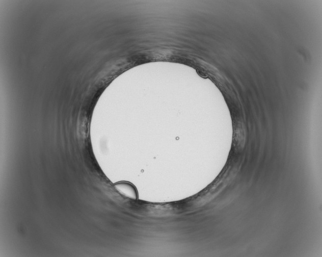 X0000112950525200909211157